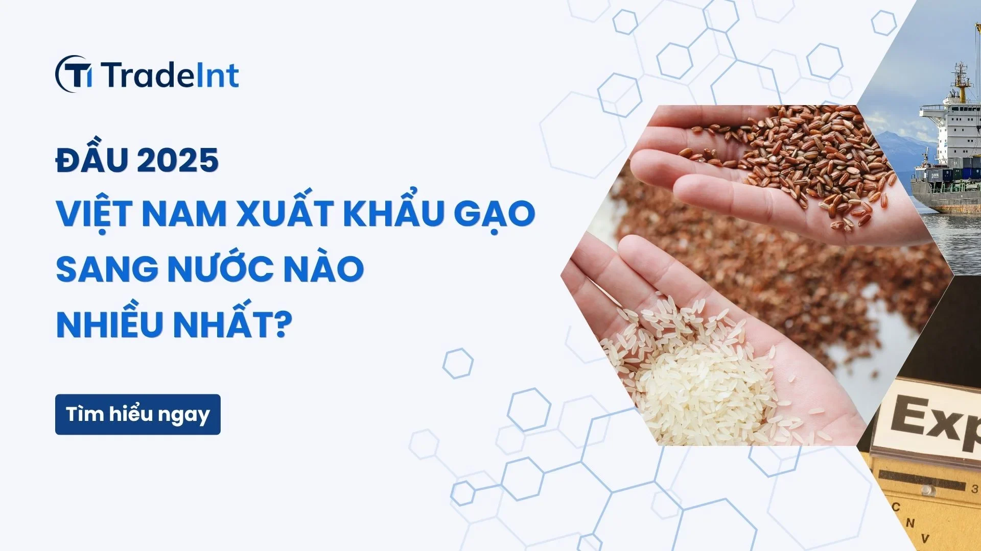 Đầu 2025 Việt Nam xuất khẩu gạo sang nước nào nhiều nhất - featured image