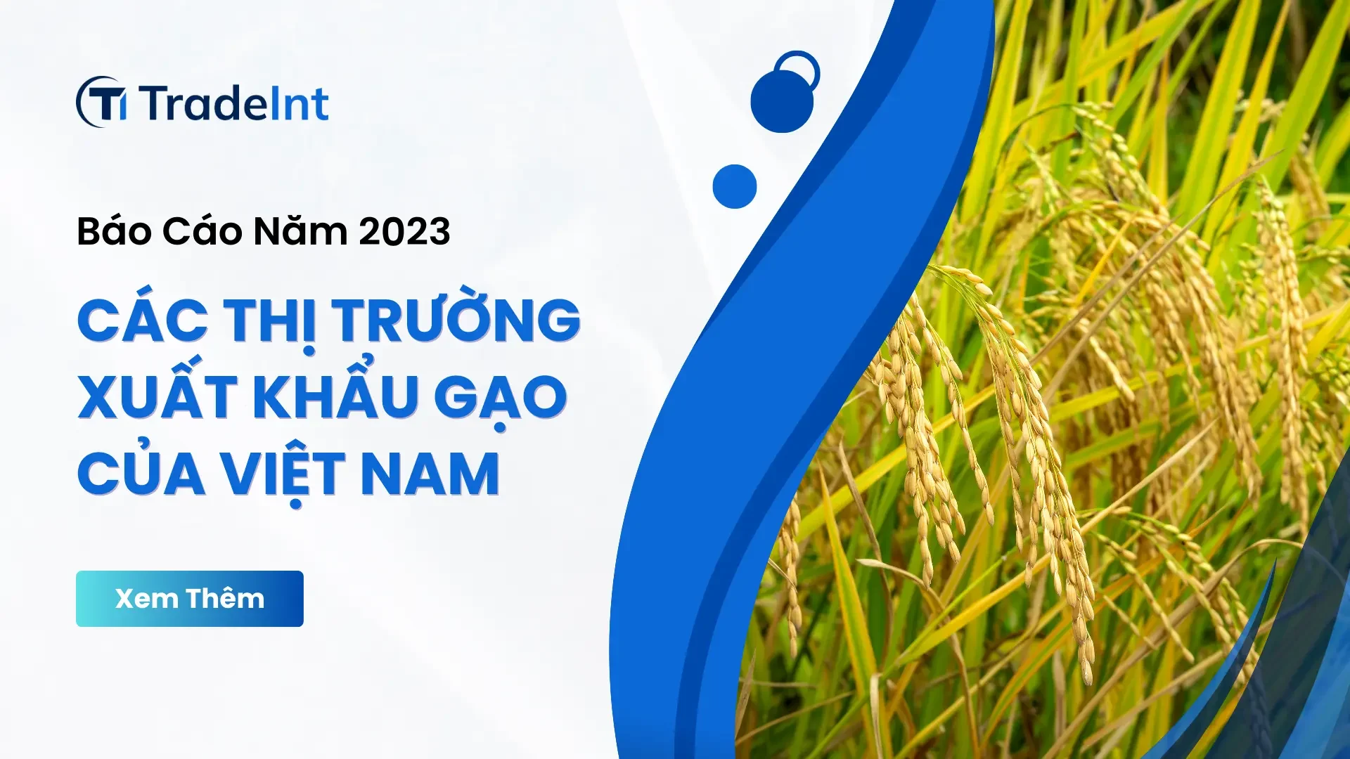 Các thị trường xuất khẩu gạo của Việt Nam năm 2023