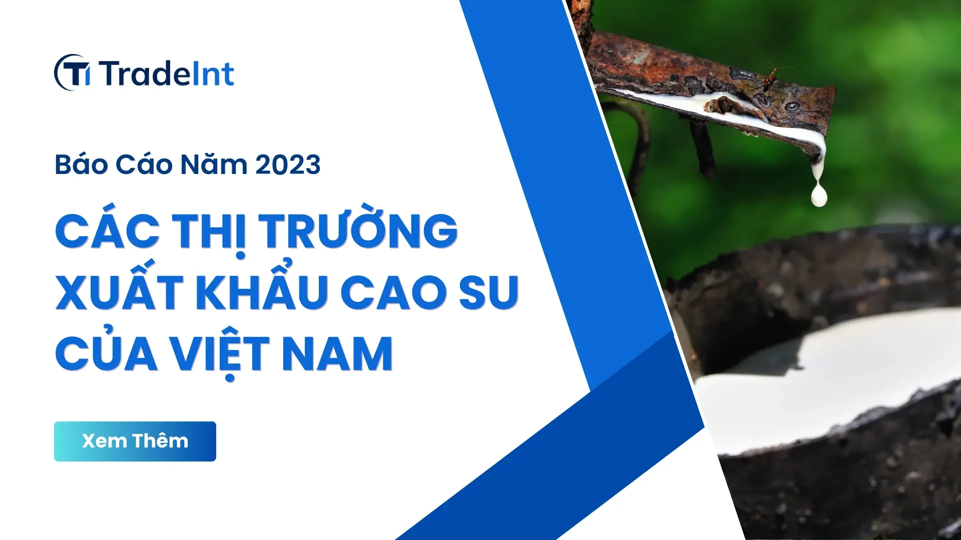 Các thị trường xuất khẩu cao su của Việt Nam